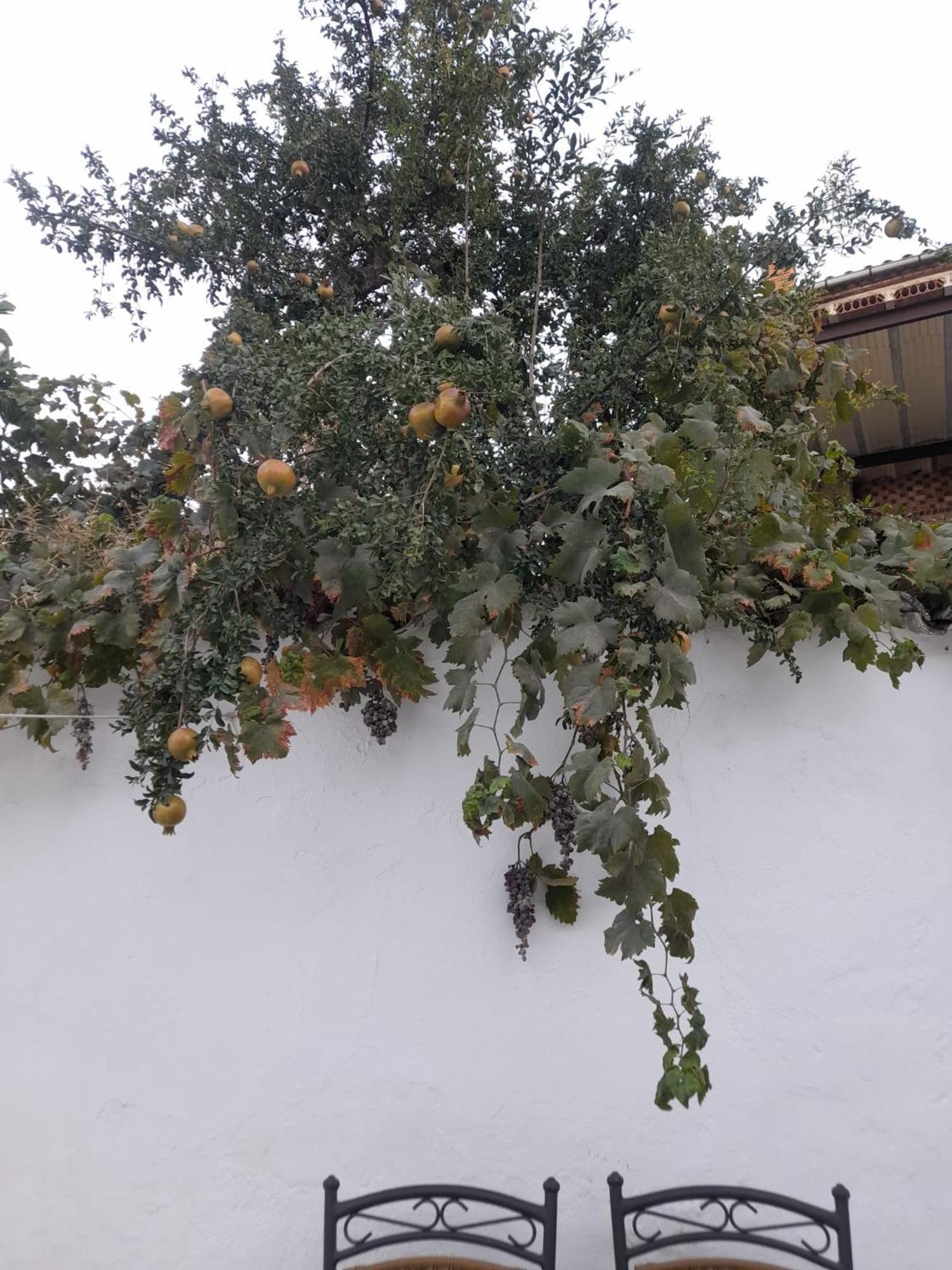 Villa El Molino De Aceite Baeza Esterno foto